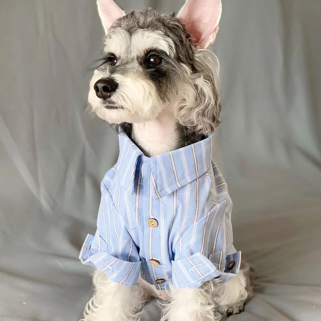 Summer Dog Clothing - Pet Clothes Pet Puppy Cat Thin
