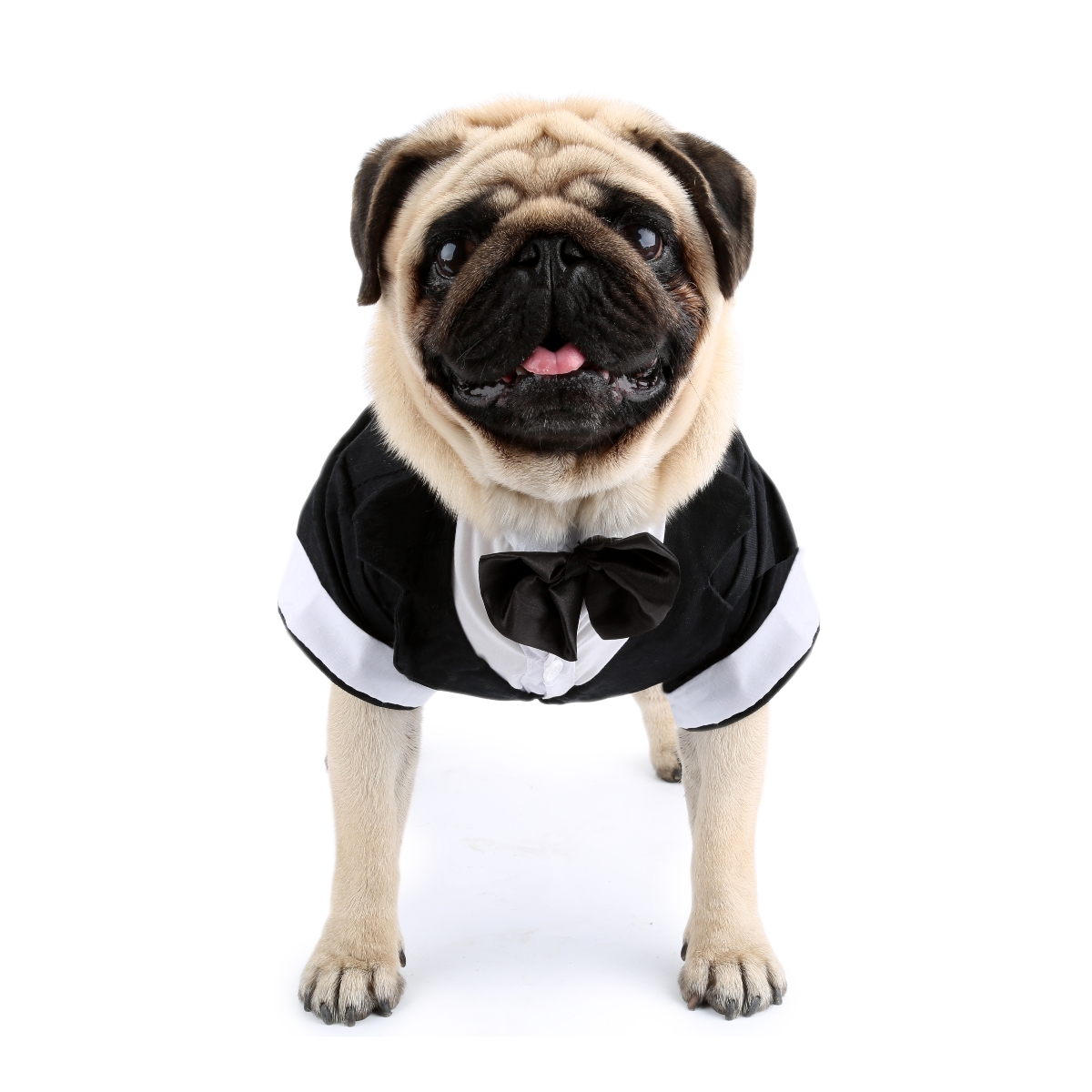 Dog Shirt Puppy Clothes, Pet W - Summer Dog Clothing avaliação e preço