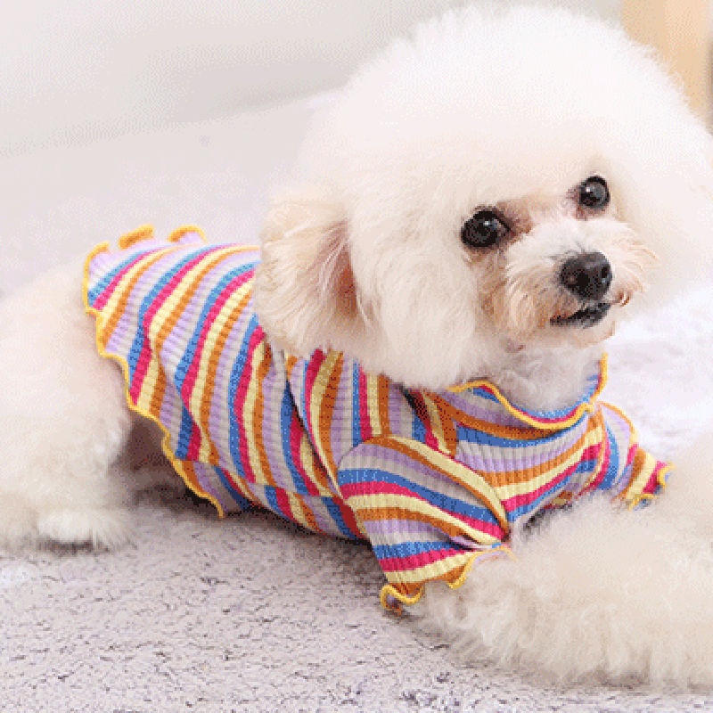 Pet Dog Clothes Puppy Vest T-s - Summer Dog Clothing avaliação e preço