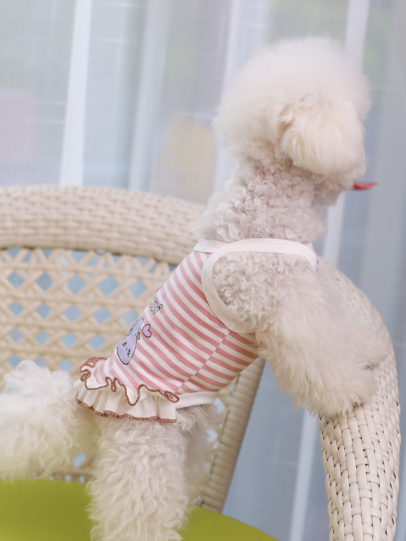 Dog vest, summer breathable th - Summer Clothing Material avaliação e preço