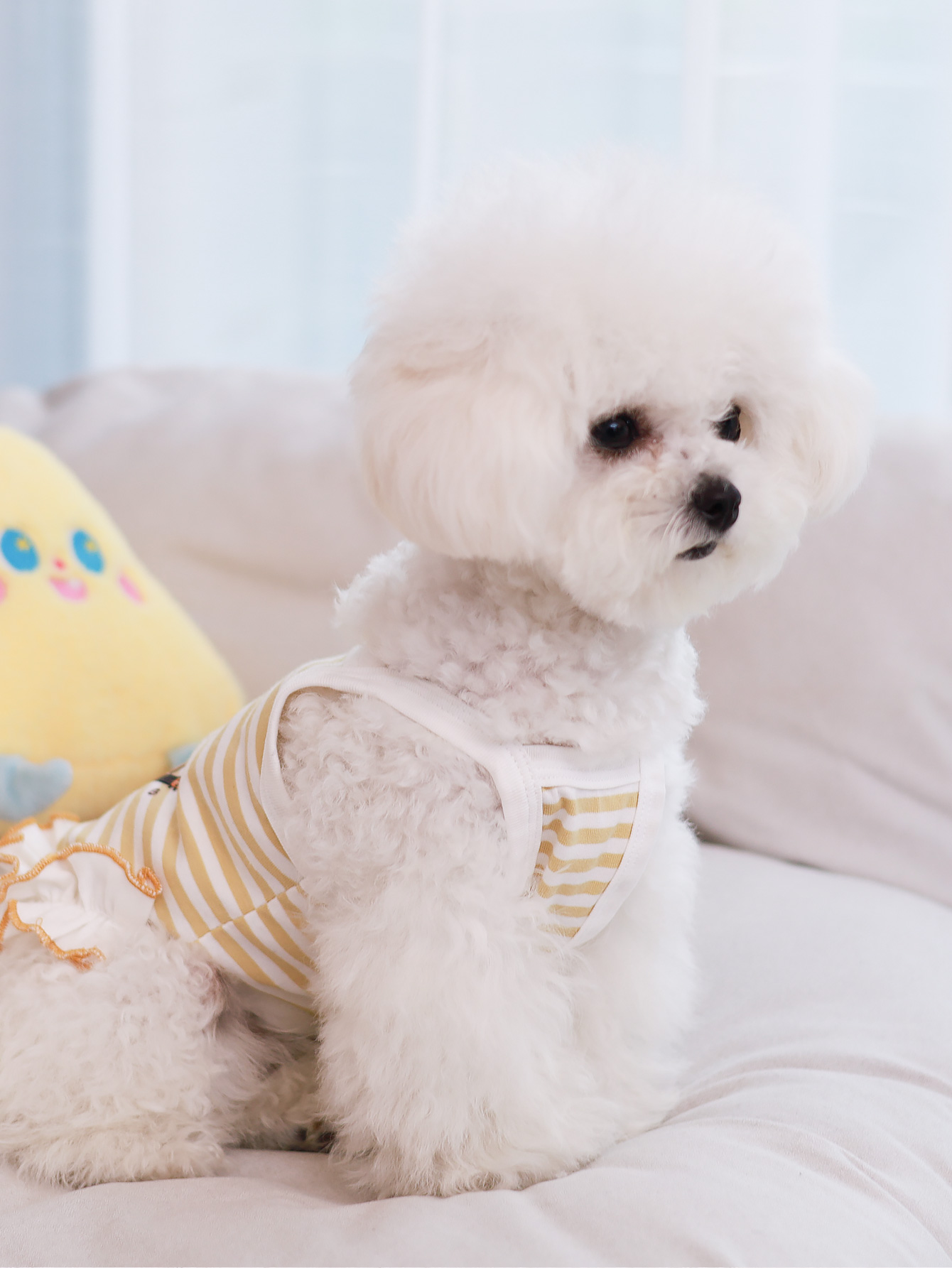 Dog vest, summer breathable th - Summer Clothing Material avaliação e preço