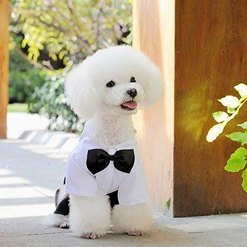 Dog Bow Tie Suit Tuxedo Costum - Summer Dog Clothing avaliação e preço