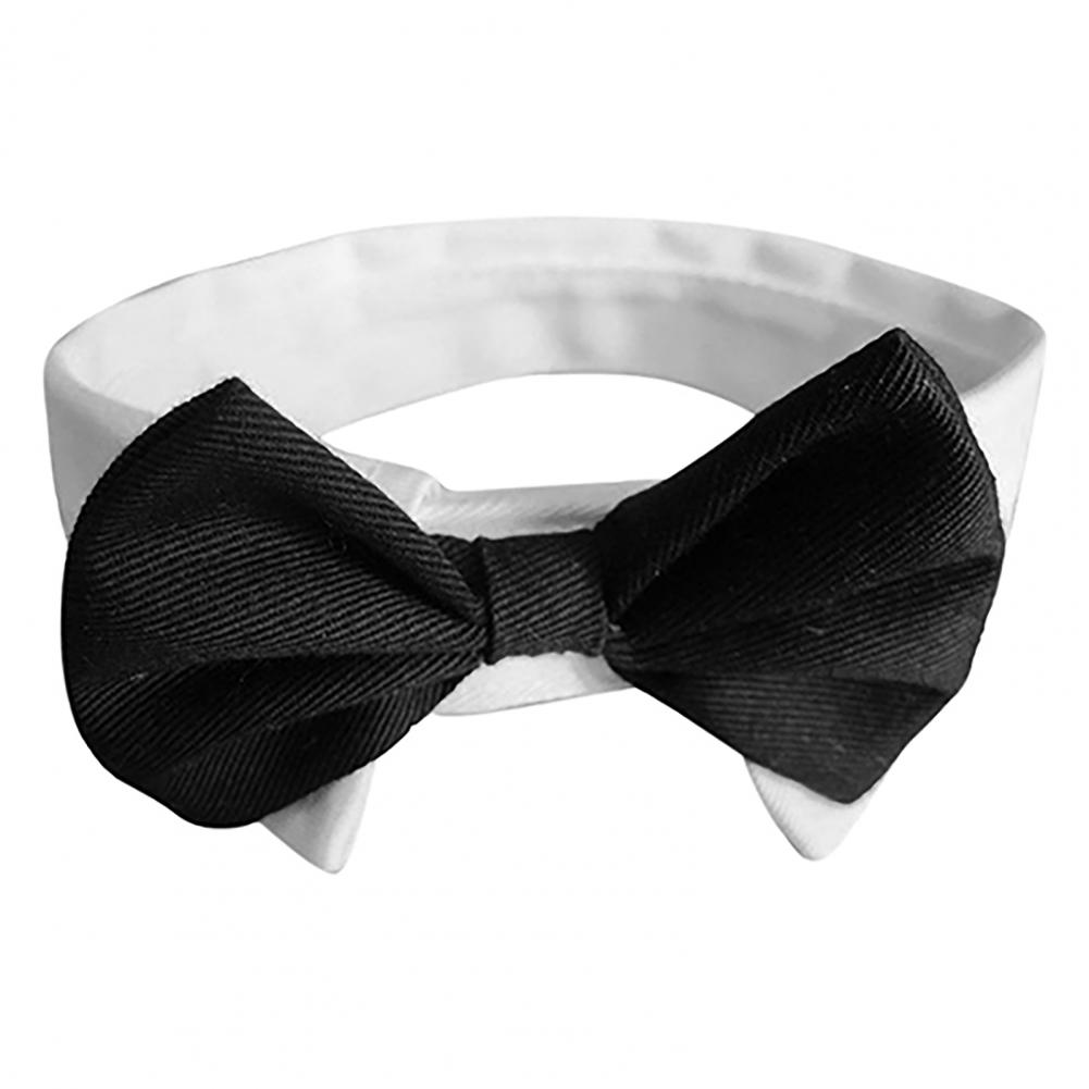 Dog Bow Tie Suit Tuxedo Costum - Summer Dog Clothing avaliação e preço