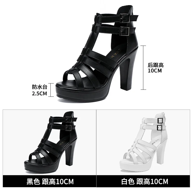 Gladiator Ladies Shoe for Wome - Summer Clothing On Sale avaliação e preço